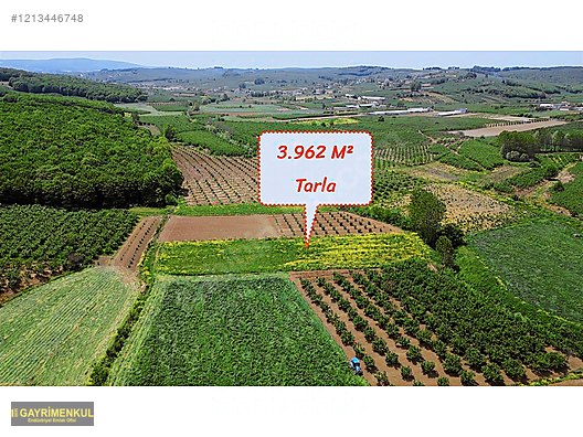 YATIRIM FIRSATI 3.962 M² TARLA FERİZLİ SARIAHMETLER MAH. - SAKARYA FERİZLİ fotoğraf 19