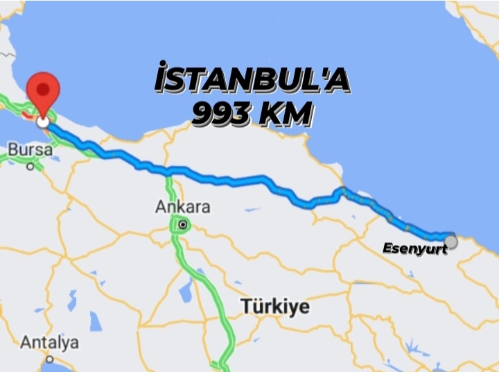  GİRESUN GÖRELE ESENYURT KÖYÜNDE 138M² FINDIK BAHÇEMİZ SATILIKTIR - GİRESUN GÖRELE fotoğraf 9