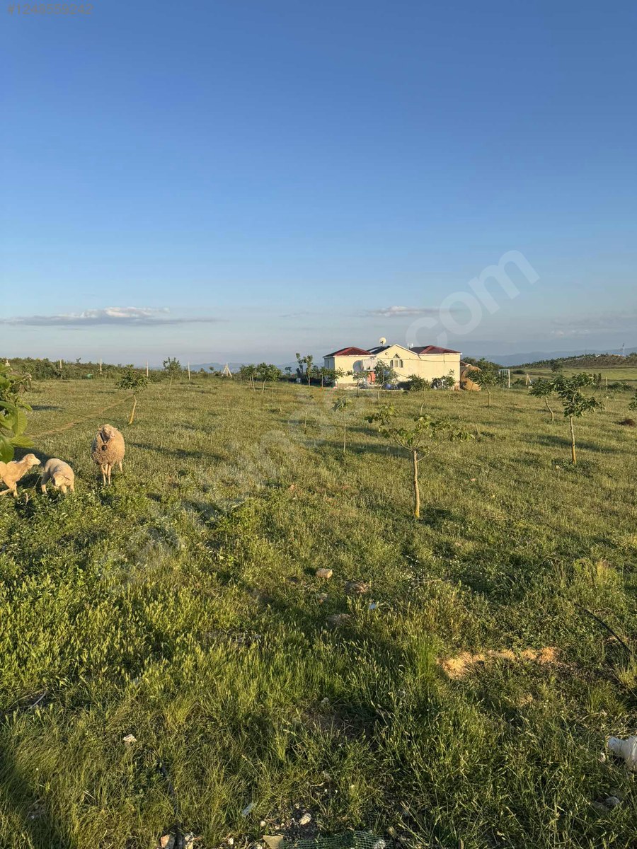 BURSA İZNİK BAYINDIR KÖYÜNDE 5.009 M TARLA SATILIKTIR - BURSA İZNİK fotoğraf 22