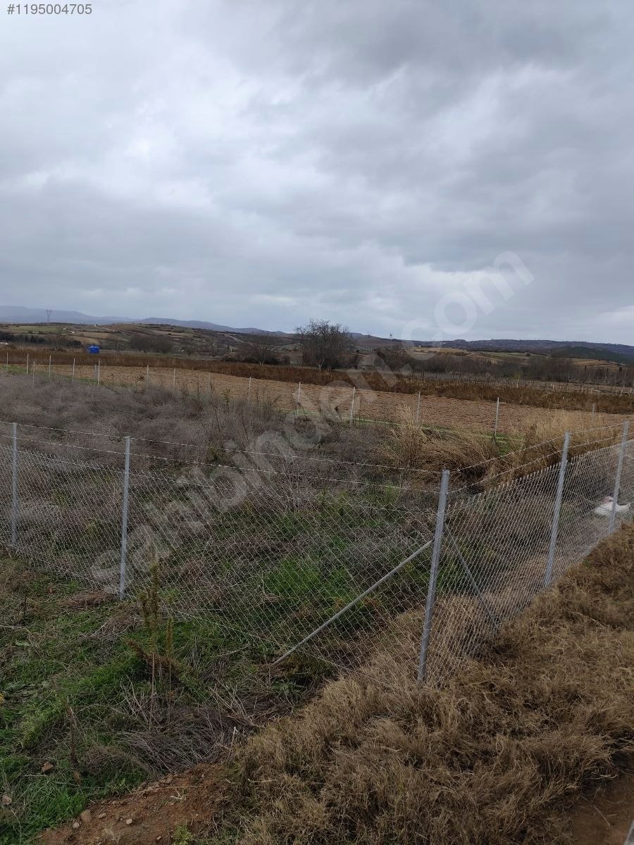 BURSA YENİŞEHİR DEMİRBOĞA'DA TARLA'NIN 462  M²'Sİ  SATILIKTIR. - BURSA YENİŞEHİR fotoğraf 18