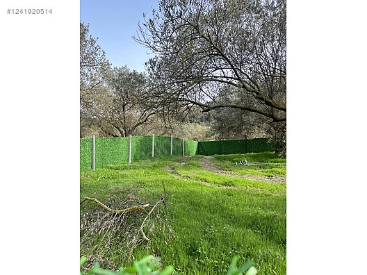 İZMİR-ALİAĞA-BOZKÖY’DE TARLA’NIN 300 M² ‘Sİ SATILIKTIR - İZMİR ALİAĞA fotoğraf 18