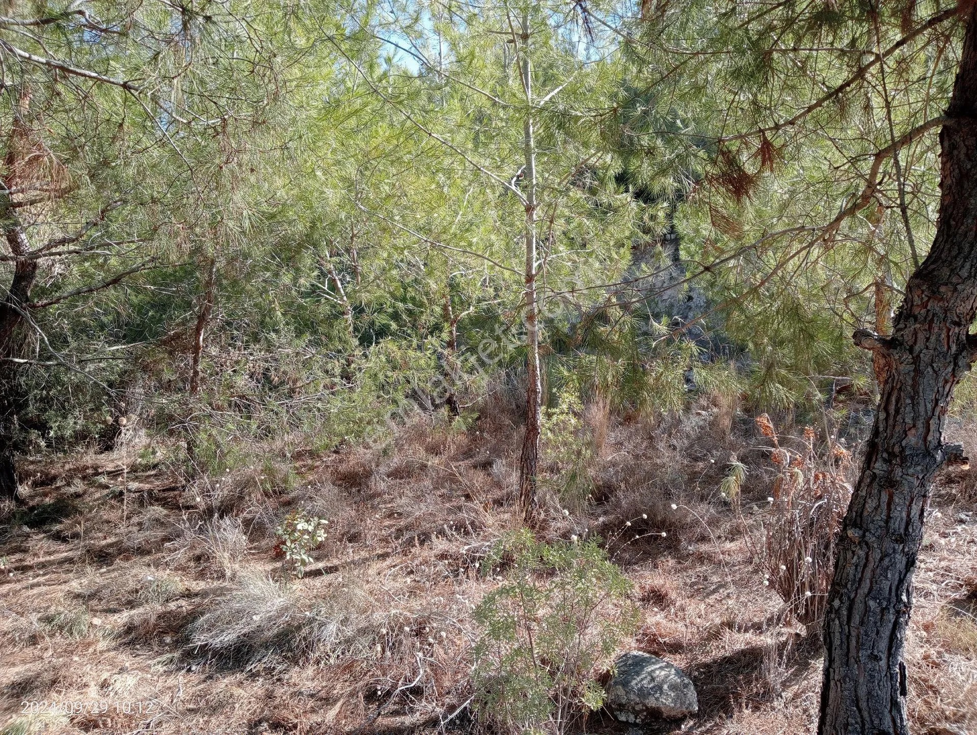 Antalya Kumluca Mavikent'te Satılık Arsa İnceoğlu Emlak - ANTALYA KUMLUCA fotoğraf 14