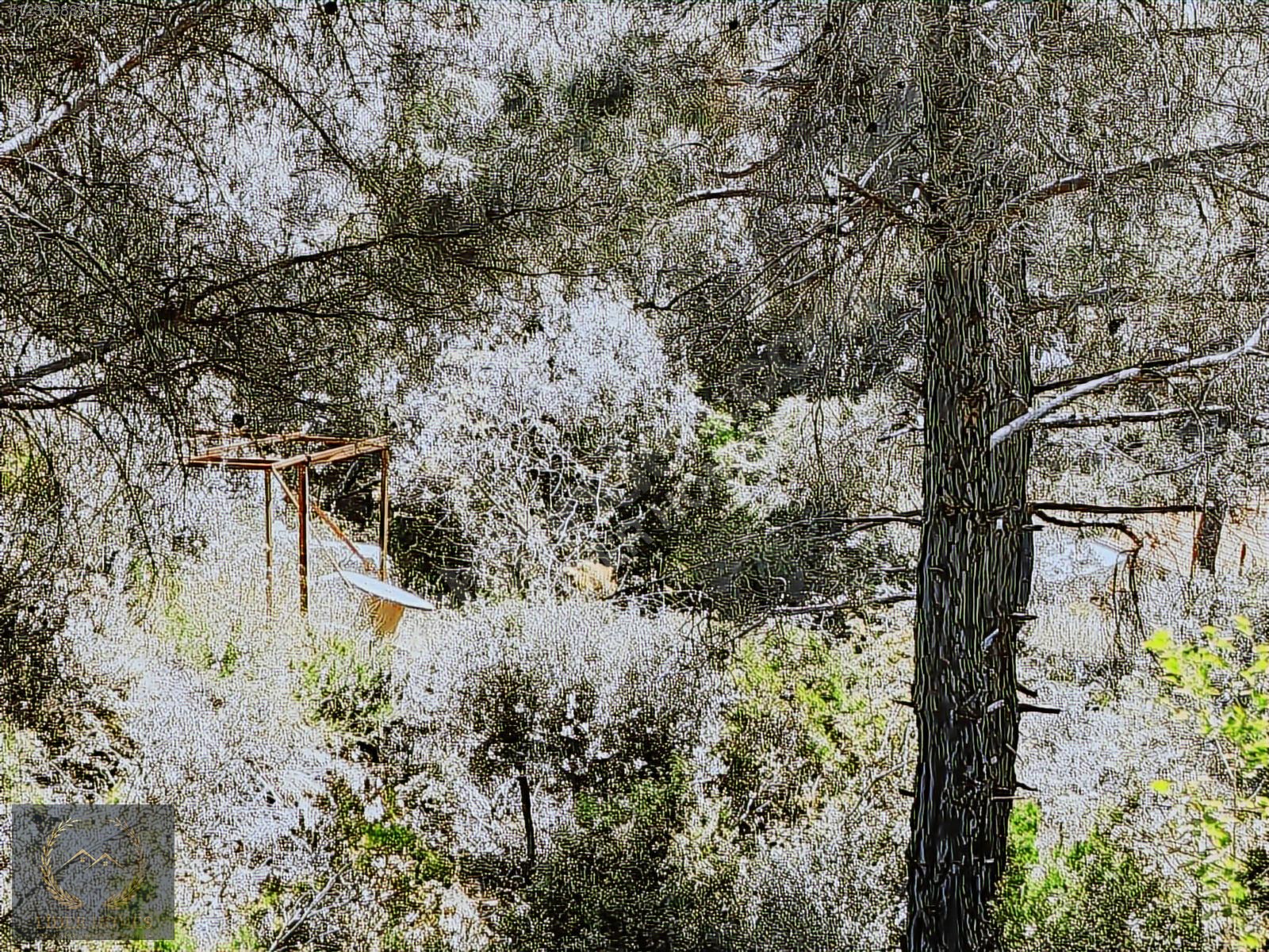 Fethiye Eldirek'te Müstakil Tapulu, Yolu su Mevcut 1.232 m² T - MUĞLA FETHİYE fotoğraf 24
