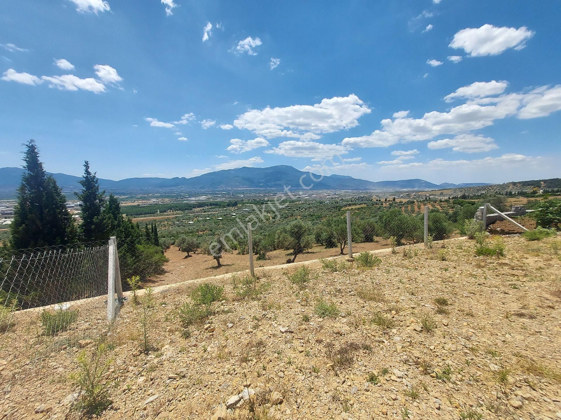 İzmir Kemalpaşa Sütçülerde Satılık 300m² Bahce - İZMİR KEMALPAŞA fotoğraf 2