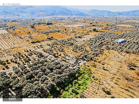 Kemalpaşa Sekiz Eylül Merkeze Yakın Satılık 3440 m2 Zeytinlik - İZMİR KEMALPAŞA fotoğraf 24