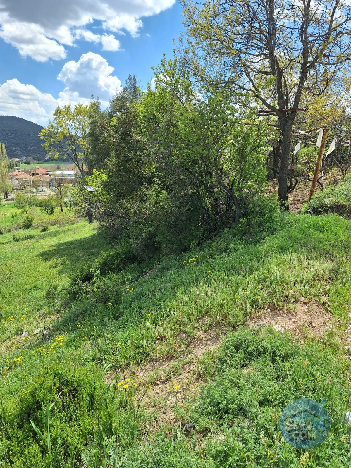 BURDUR AĞLASUN KİBRİT KÖYÜNDE SATILIK KERPİÇ EV VE TARLA - Burdur Ağlasun fotoğraf 14