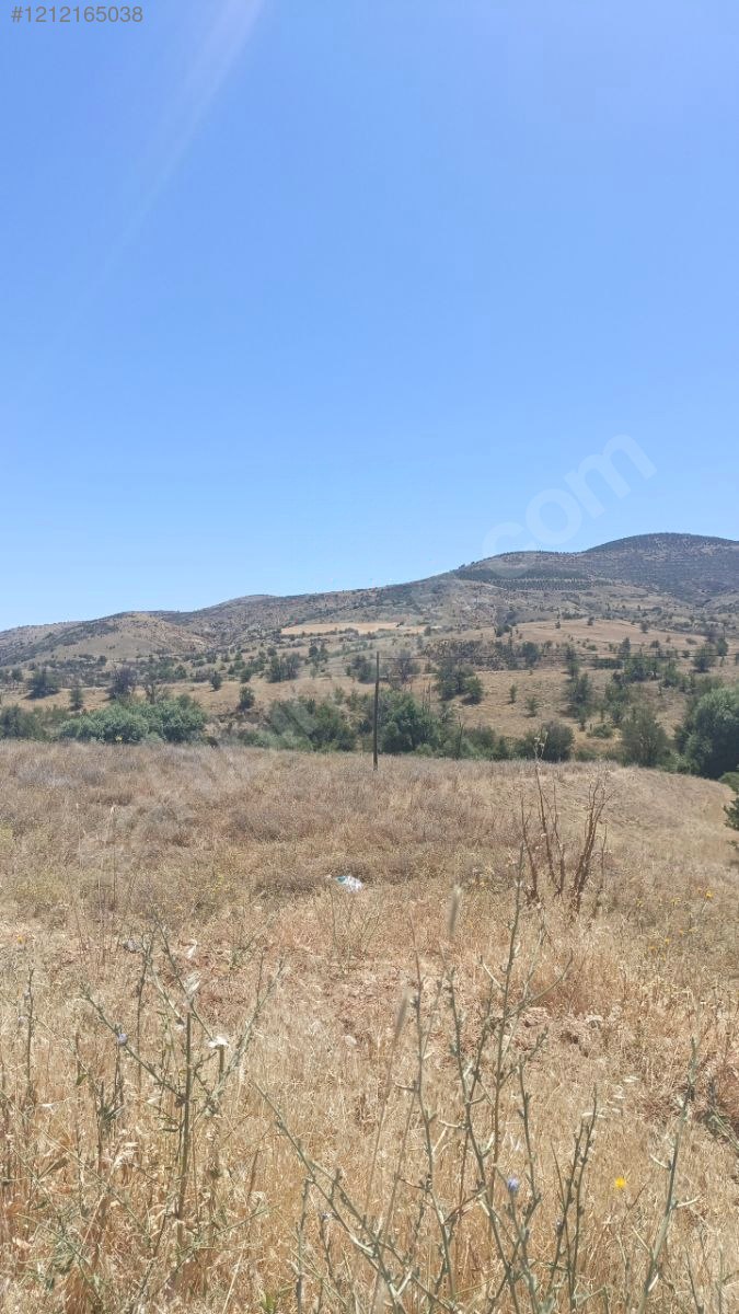 DENİZLİ ÇİVRİL BAYAT  KÖYÜNDE 2.940 M² TARLA SATILIKTIR - DENİZLİ ÇİVRİL fotoğraf 5