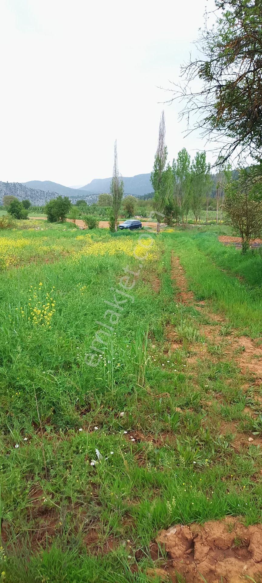 Burdur Ağlasun Hisarköy' De Kadastro Yolu Sulama Suyu Olan Satılık Tarla - BURDUR AĞLASUN fotoğraf 6