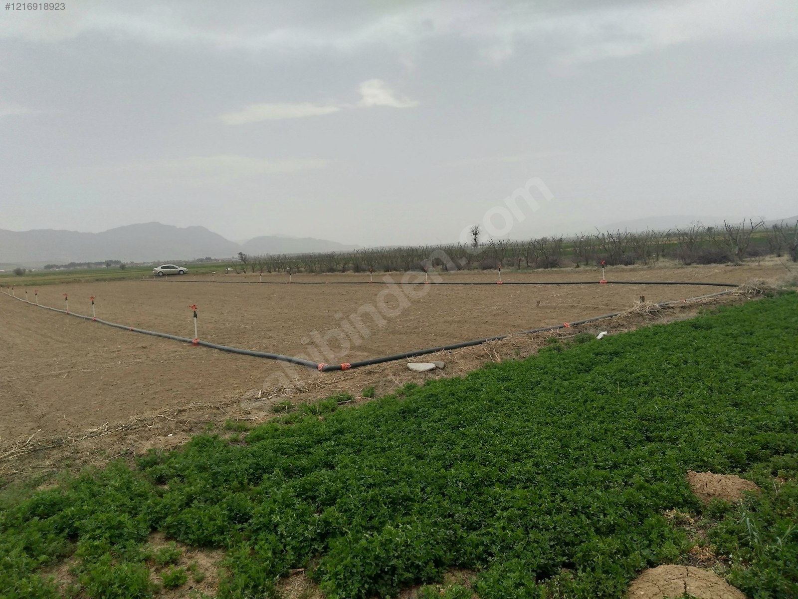 DENİZLİ ACIPAYAM APA  KÖYÜNDE 2.976  M² TARLA  SATILIKTIR - DENİZLİ ACIPAYAM fotoğraf 12