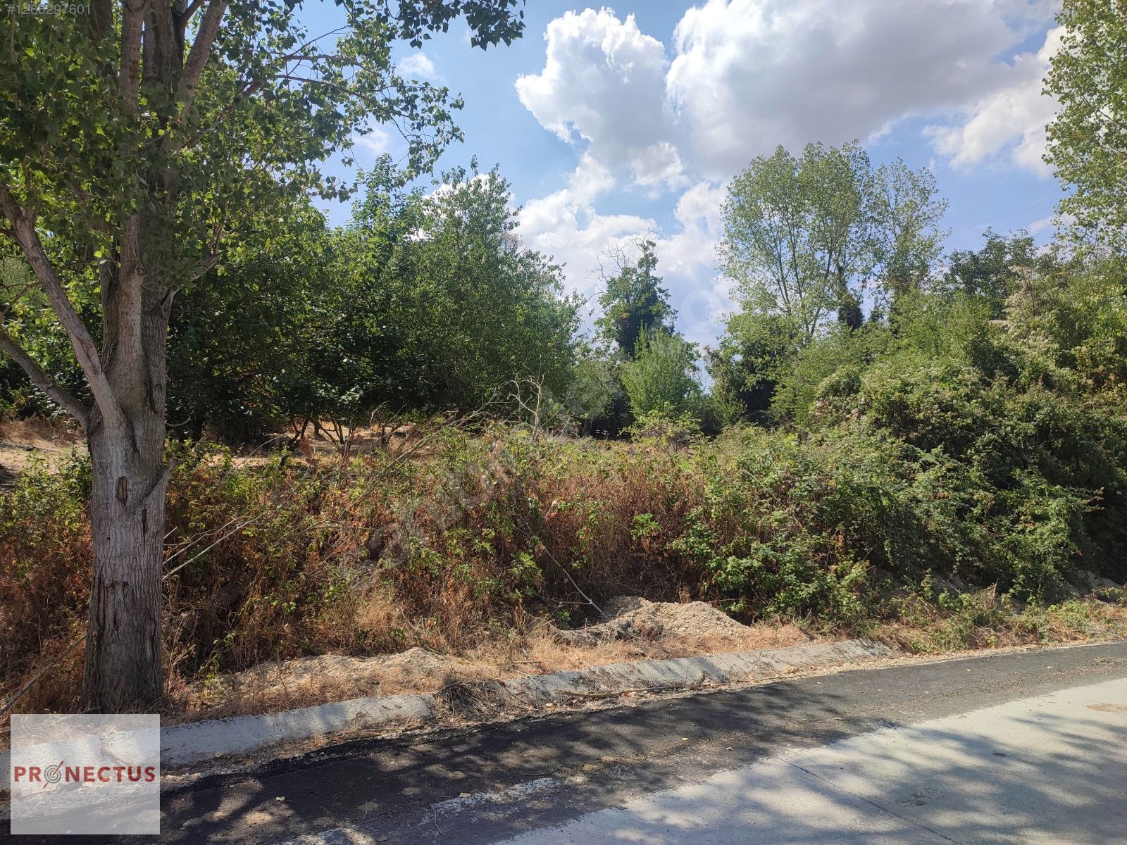 AVCIKÖY MAH. ASFALT YOLA CEPHE 2648 M2 KONUT İMARLI ARSA. - KOCAELİ KARAMÜRSEL fotoğraf 4