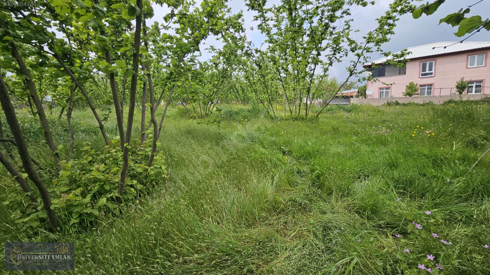 DÜZCE CUMAYERİ ÇEVRİK SATILIK FIRSAT ARSA 635M2 KONUT İMARLI - DÜZCE CUMAYERİ fotoğraf 7