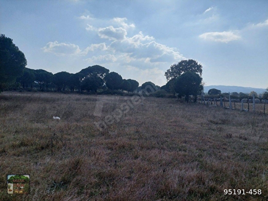 BERGAMA KOZAK HACIHAMZALAR MAH DE 10500 M2 TARIM İMARLI TARLA ÖNÜ PARSEL YOL ELE - İZMİR BERGAMA fotoğraf 7