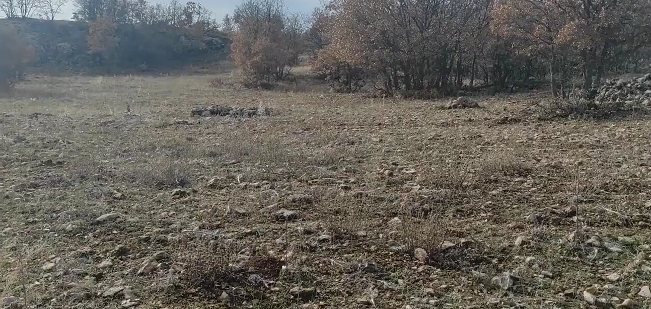 KONYA HADİM AŞAĞIEŞENLER KÖYÜNDE 4.481 M² TARLAMIZ SATILIKTIR. - KONYA HADİM fotoğraf 13