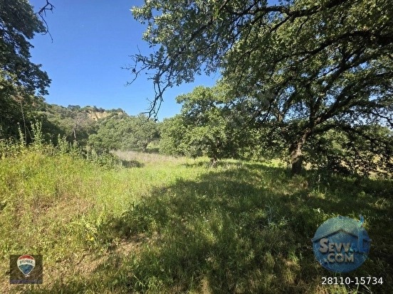 AYDIN BOZDOĞAN OSMANIYE'DE 71.000M² SATILIK ZEYTIN BAHÇESI TAMAMI SATILIK - AYDIN BOZDOĞAN fotoğraf 2