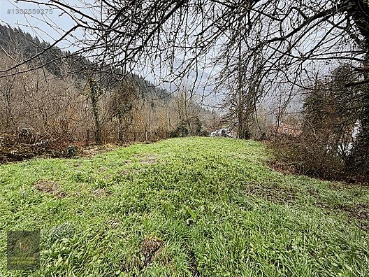 KASTAMONU KÜRE GÜLLÜCE 'DE KÖY İÇİNDE 798 M2 İMARLI UYGUN ARSA - KASTAMONU KÜRE fotoğraf 6