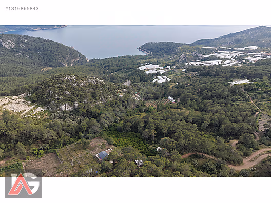 Doğanın İçinde, Deniz Gören, Elektrik ve Suyu Hazır Fırsat Arazi - ANTALYA KUMLUCA fotoğraf 11