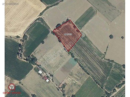 ARTER EMLAK'TAN BERGAMA İSLAMSARAYDA 4753 M² SATILIK TARLA - İZMİR BERGAMA fotoğraf 7