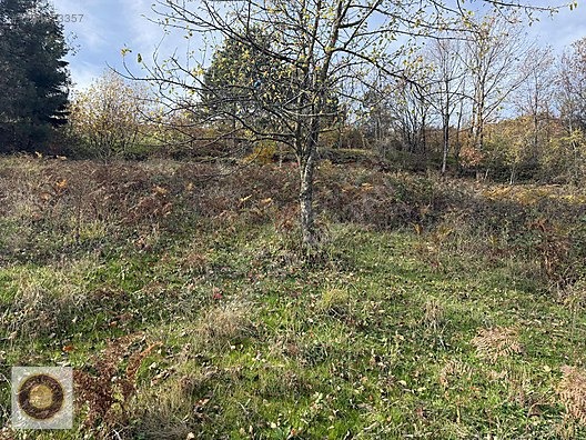 KESTEL LÜTFIYE MH SATILIK 1806M2 TARLA ASVALT YOLA CEPHE - BURSA KESTEL fotoğraf 31