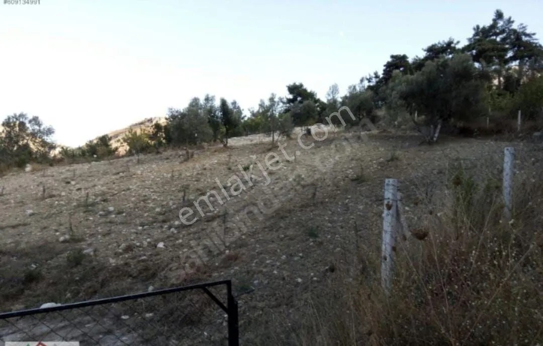 Yeliz'den Manisa Soma'da Merkeze Yakın Hobi Bahçesi - MANİSA SOMA fotoğraf 14