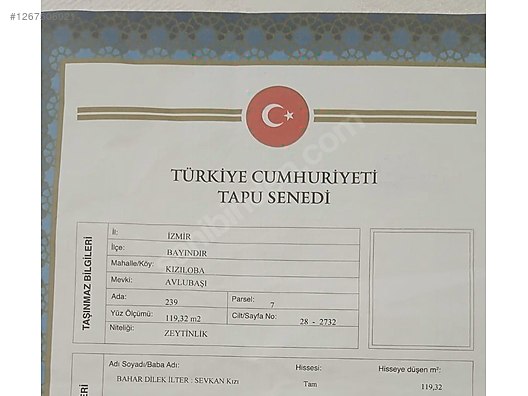 İZMİR BAYINDIR KIZILOBA  KÖYÜNDE 119 M² ZEYTİNLİK  SATILIKTIR - İZMİR BAYINDIR fotoğraf 5