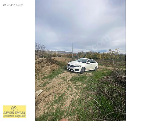 AMASYA MERKEZ DURUCA SATILIK TARLA 11.611 MK - AMASYA MERKEZ fotoğraf 13