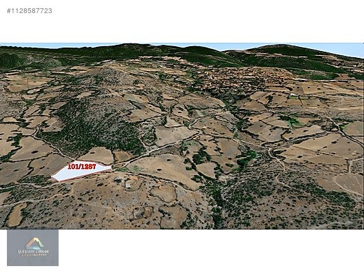 BALIKESİR KEPSUT SAYACIK KÖYÜNDE SATILIK 4.000M² ARSA