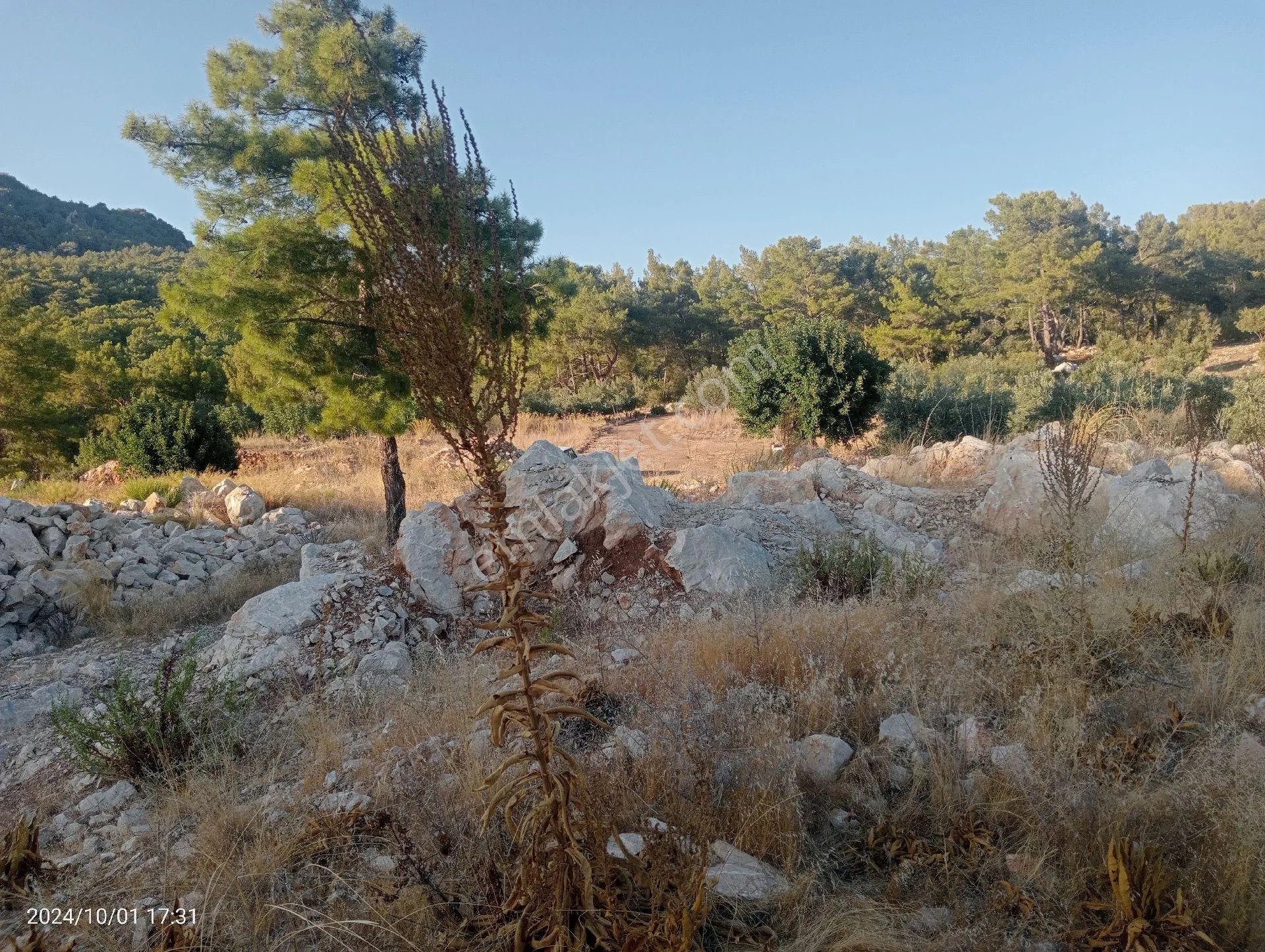 Antalya Kumluca Mavikent'te Satılık Tarla İnceoğlu Emlak - ANTALYA KUMLUCA fotoğraf 6