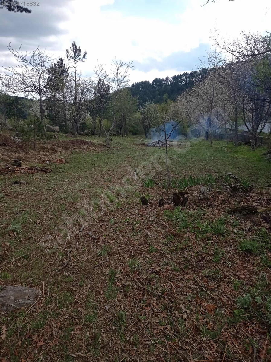 BURSA KELEŞ PINARCIK'TA 1.902 M²  BAHÇELİ KARGIR EV SATILIKTIR - BURSA KELES fotoğraf 11