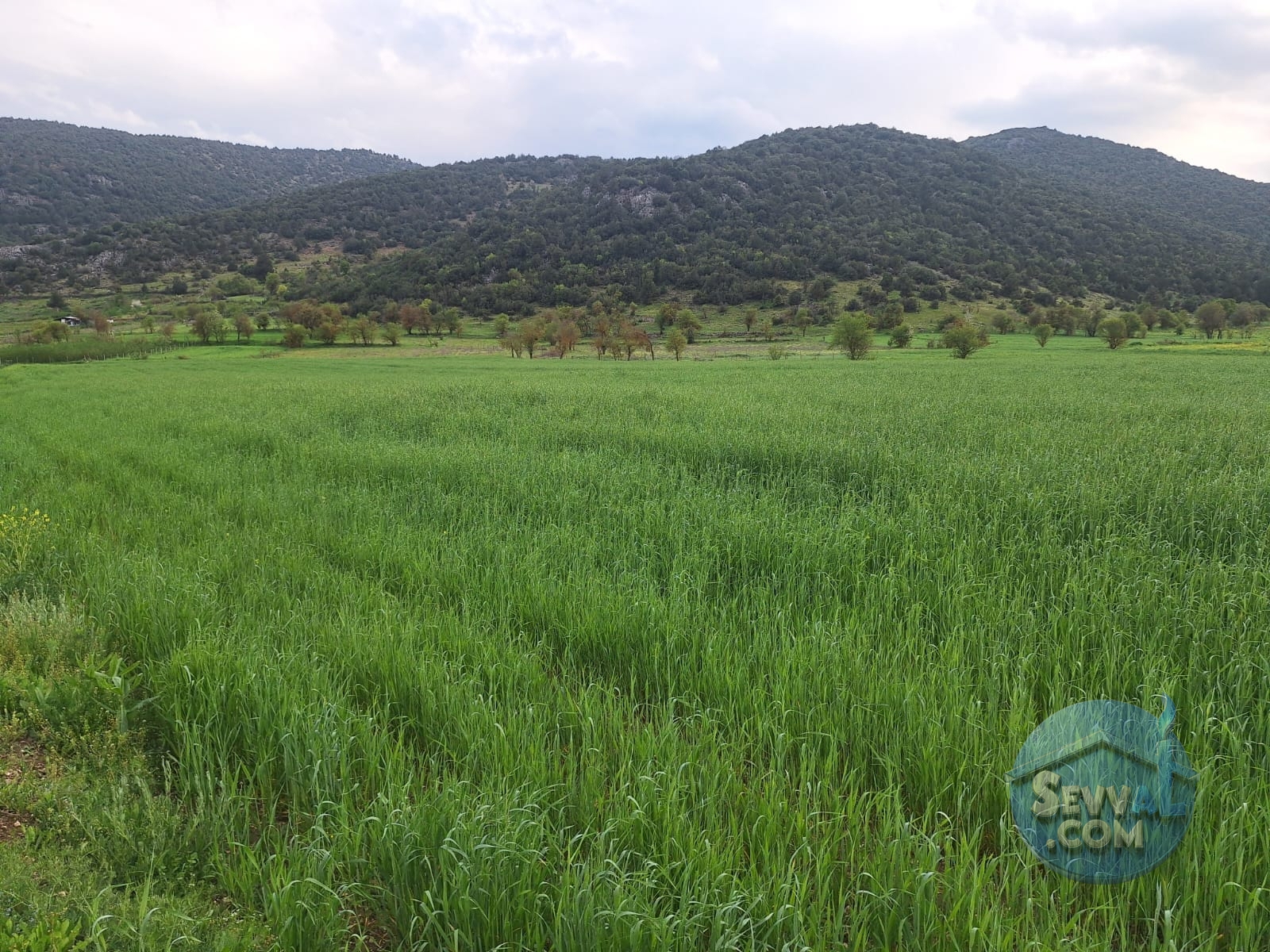 ASYA EMLAKTAN BURDUR AĞLASUN HİSARKÖY DE SATILIK FIRSAT TARLA - Burdur Ağlasun fotoğraf 9