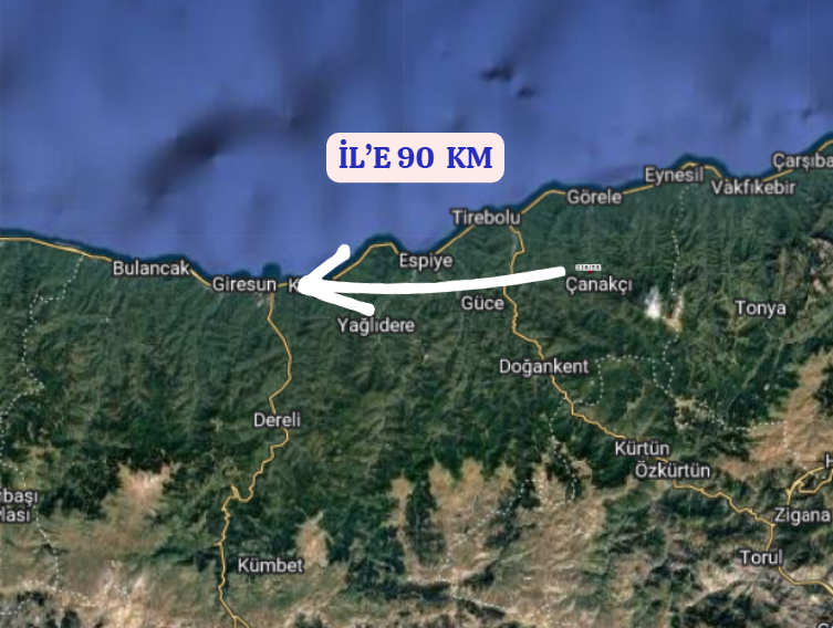 GİRESUN GÖRELE ESENYURT   KÖYÜNDE 264 M²  FINDIK BAHÇESİ  SATILIKTIR - GİRESUN GÖRELE fotoğraf 6