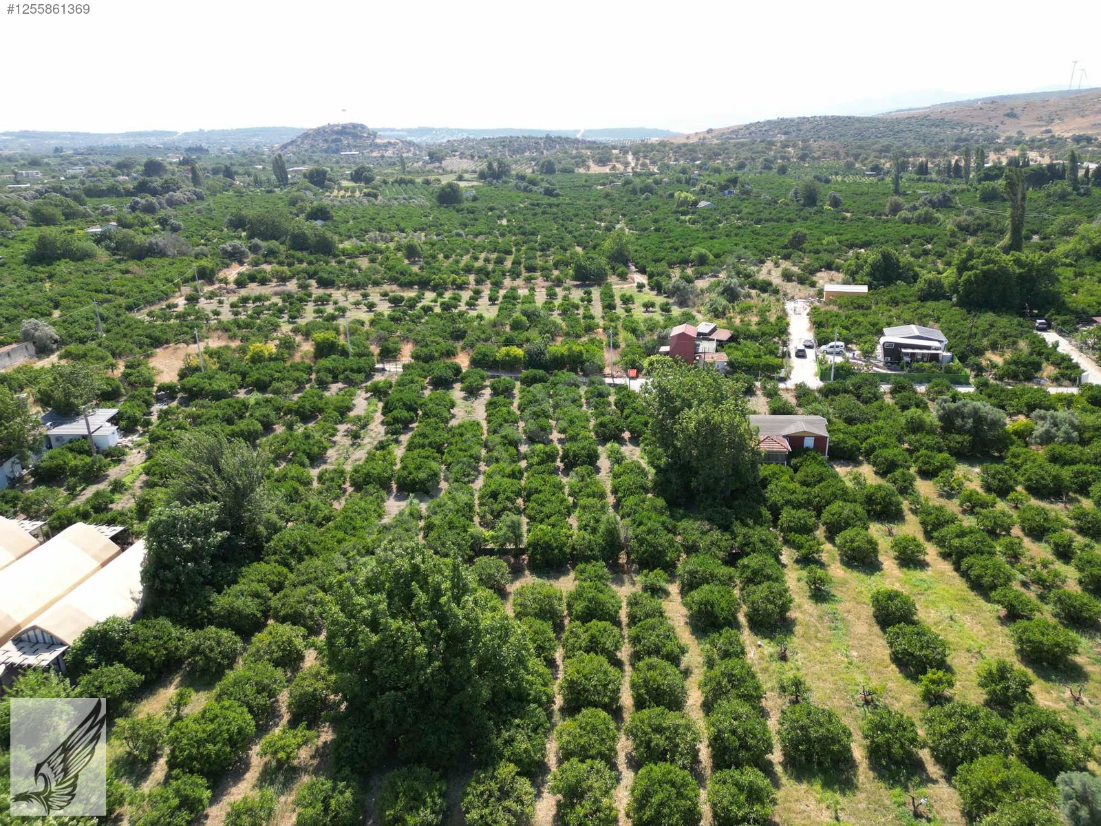 Sığacık Yolu Üzerinde 4.800m² Mandalina Bahçesi Ve Ruhsatlı Ev - İZMİR SEFERİHİSAR fotoğraf 2