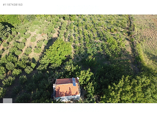 ÇANAKKALE BAYRAMİÇ BEŞİK KÖYÜ 6.900 m2 MEYVA BAHÇESİ 96 m2 EV - ÇANAKKALE BAYRAMİÇ fotoğraf 38
