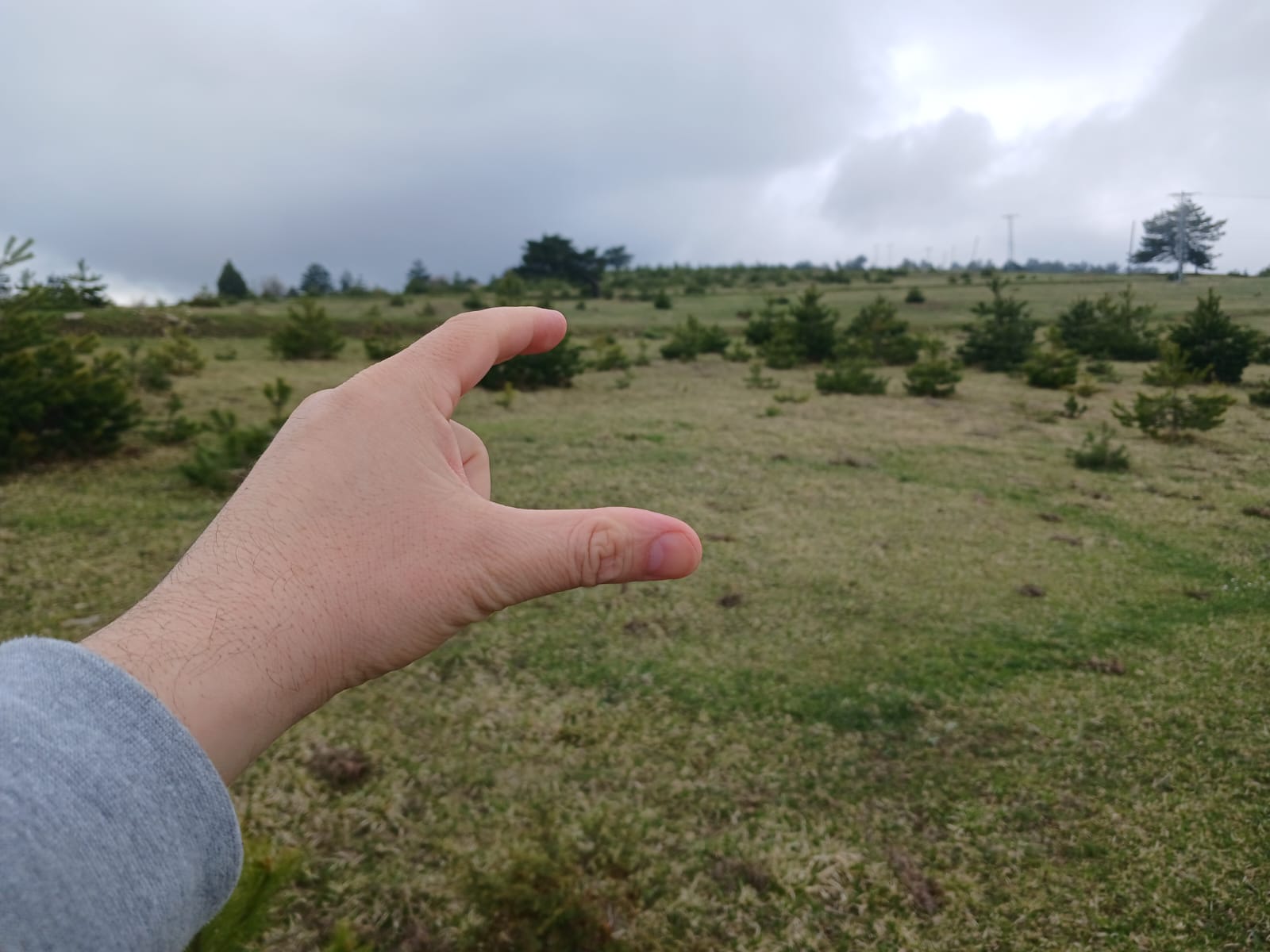 SİNOP DİKMEN ÇUKURCAALAN KÖYÜNDE 2.915M² TARLA SATILIK - SİNOP DİKMEN fotoğraf 2