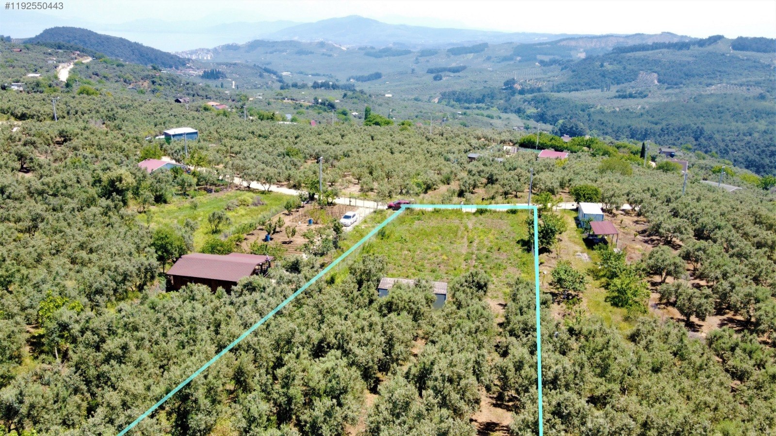 BURSA MUDANYA ÇEPNİ KÖYÜNDE 2.110 M² ZEYTİNLİK SATILIKTIR. - BURSA MUDANYA fotoğraf 16
