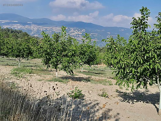 BURSA KELEŞ BELENÖREN'DE 5.270  M² BAHÇE SATILIKTIR - BURSA KELES fotoğraf 8