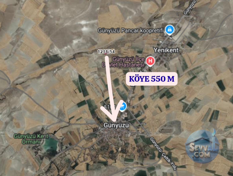 ESKİŞEHİR GÜNYÜZÜ SÜMER  KÖYÜNDE  1.450 M²   BAĞ  SATILIKTIR - ESKİŞEHİR GÜNYÜZÜ fotoğraf 4