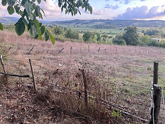 KOCAELİ KANDIRA LOKMANLI   KÖYÜNDE 727 M²  TARLA  SATILIKTIR - KOCAELİ KANDIRA fotoğraf 13