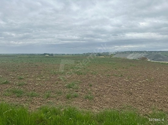 DÜĞÜNCÜLÜ DE HIZLI TREN DİBİNDE RESMİ YOLU MEVCUT 5 DÖNÜM TARLA - KIRKLARELİ BABAESKİ fotoğraf 13