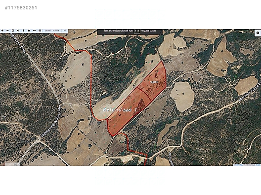 ÇANAKKALE BAYRAMİÇ MURATLAR KÖYÜ 45.000 m2 TARLA - ÇANAKKALE BAYRAMİÇ fotoğraf 20