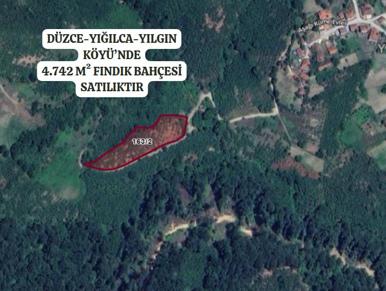DÜZCE YIĞILCA YILGIN  KÖYÜ’NDE 4.742 M² FINDIK BAHÇESİ SATILIKTIR - DÜZCE YIĞILCA fotoğraf 2