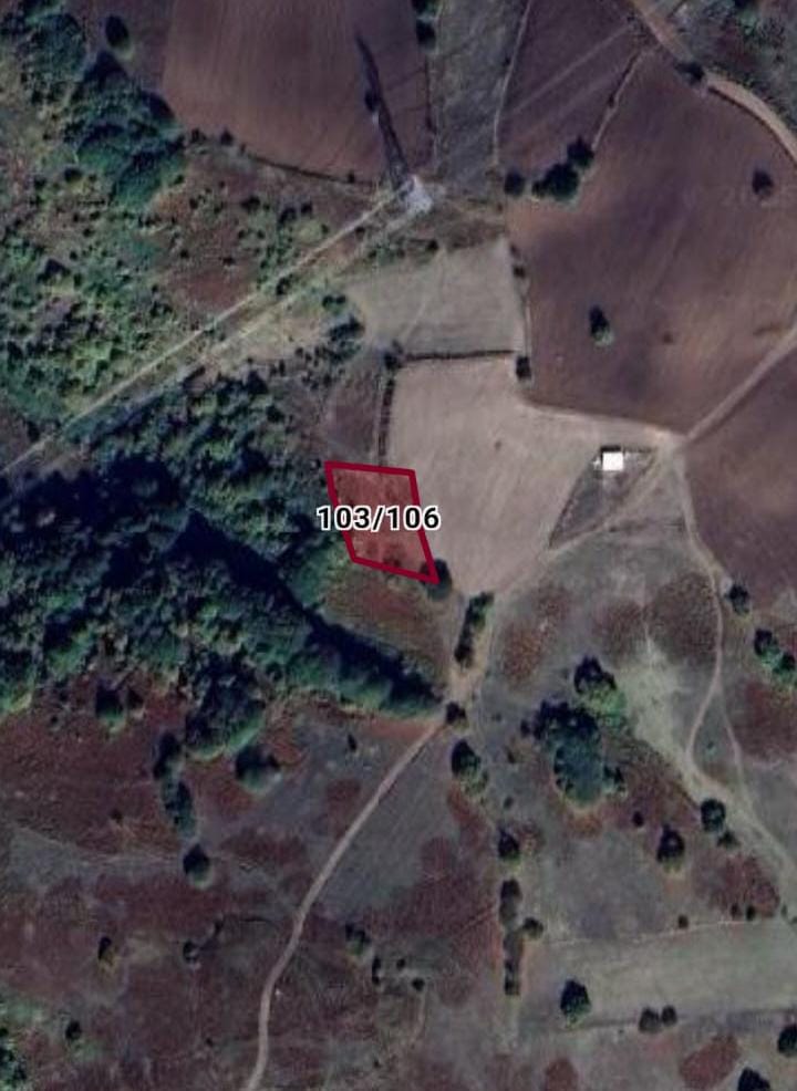 BURSA ORHANGAZİ MAHMUDİYE MAH 1369M² TARLA  SATILIKTIR - BURSA ORHANGAZİ fotoğraf 2