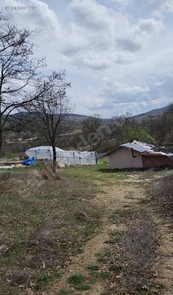 Sahibinden Satılık Tarla %5 İmar - SUYU, YOLU ELEKTRİĞİ MEVCUT - BURSA ORHANELİ fotoğraf 2