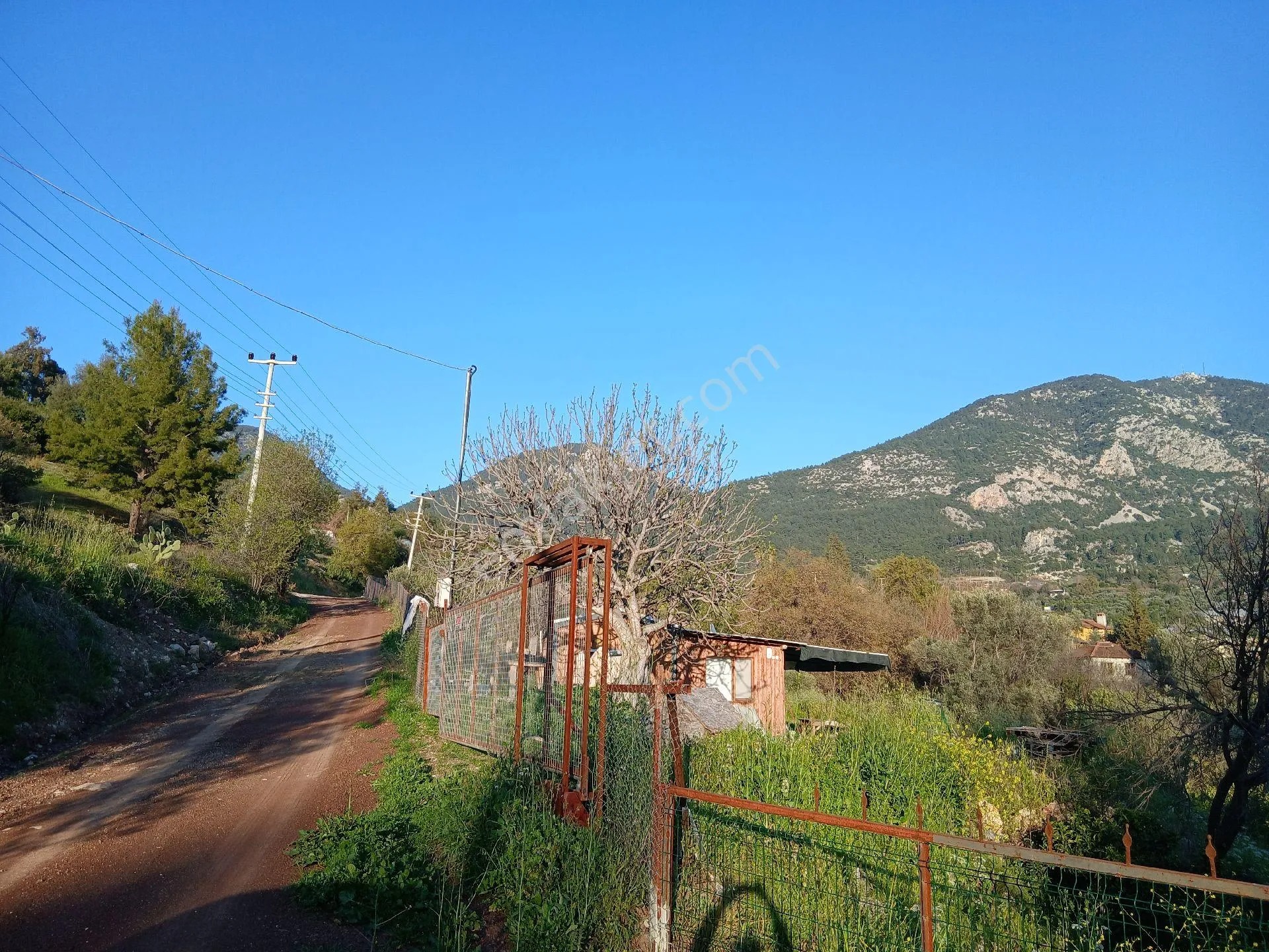 Erentepe Mahallesi Satılık Bahçe - ANTALYA KUMLUCA fotoğraf 9