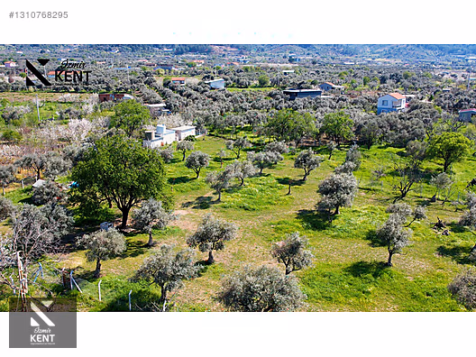 Kemalpaşa Armutlu Satılık Arazi 4.000 m2 - İZMİR KEMALPAŞA fotoğraf 10