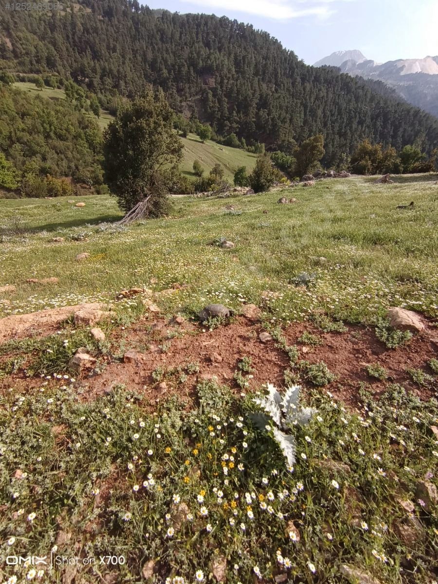 Antalya Konyaaltı Doyran Yayla 1.200 m² Tek Tapu Konyaalti Sahile 30 dk - ANTALYA KONYAALTI fotoğraf 10