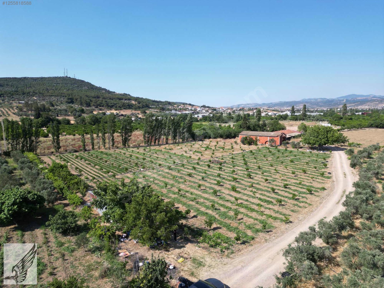 Seferihisar Turgut Köyünde 7.500M² Satılık Tarla - İZMİR SEFERİHİSAR fotoğraf 2