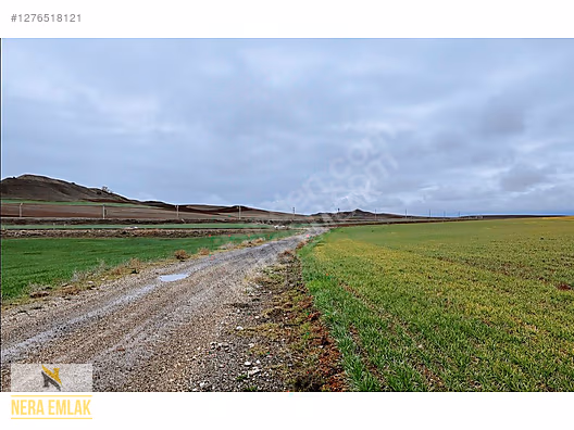 KIRIKKALE-YOZGAT ANAYOL FABRİKA-DEPOLAMA-ÇİFTLİK TEK TAPU 15.402 - KIRIKKALE DELİCE fotoğraf 12