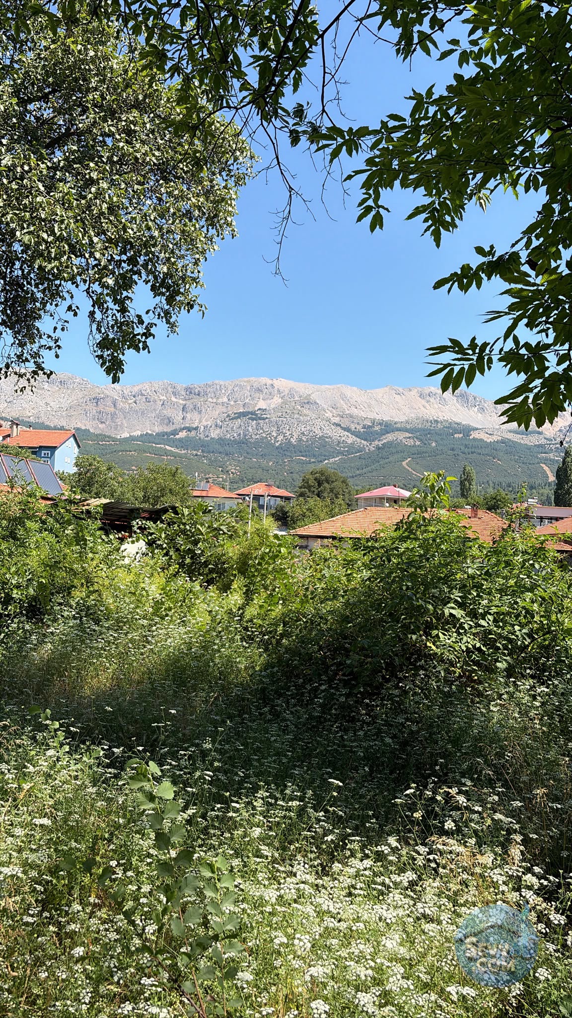 AĞLASUN SAKARCA MAHALLESİNDE SATILIK MUHTELİF ARSA - BURDUR AĞLASUN fotoğraf 20