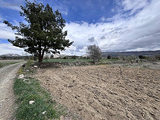 DENİZLİ ACIPAYAM YEŞİLYUVA KÖYÜNDE   804 M²  BAĞ SATILIKTIR - DENİZLİ ACIPAYAM fotoğraf 2