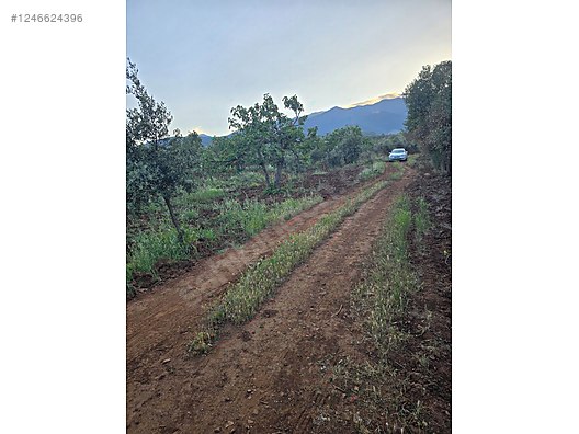 Satılık arsa Hatay Hassa küreci Mahallesi'nde tek tapu 2.000 M² - HATAY HASSA fotoğraf 9
